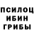 Галлюциногенные грибы мухоморы Tigran Tigran