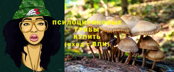 ECSTASY Абаза